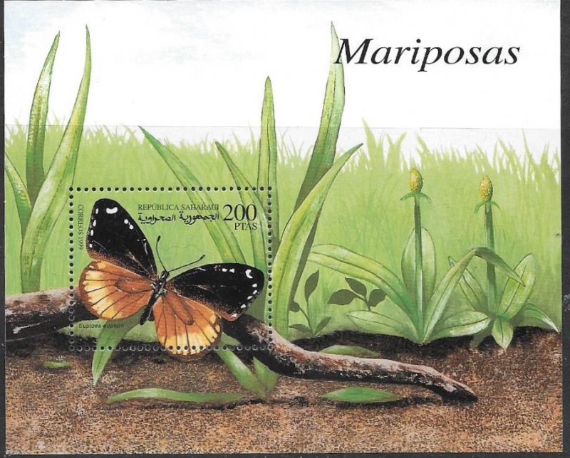 mariposas