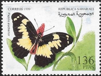 mariposas