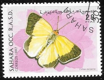 mariposas