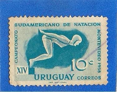 Campeonato Sudamericano de Natacion