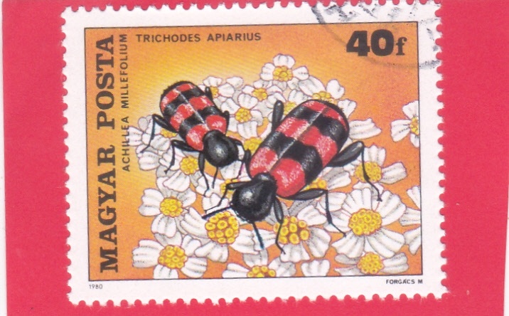 ABEJAS