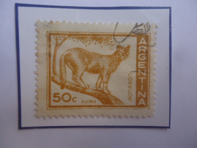 Puma (Felis concolor)- Sello de 50 Ctvs. Año 1960