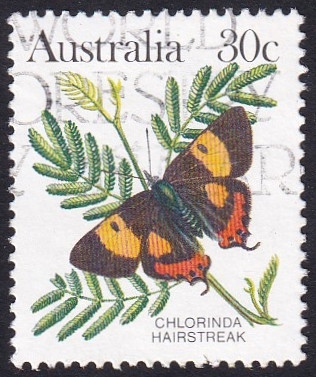 Pseudalmenus chlorinda