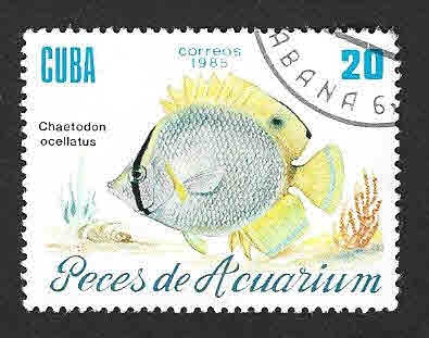 2815 - Peces de Aquarium