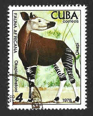 2216 - Zoo de la Habana, Fauna Africana