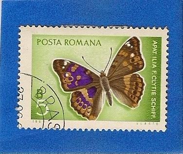 Mariposa