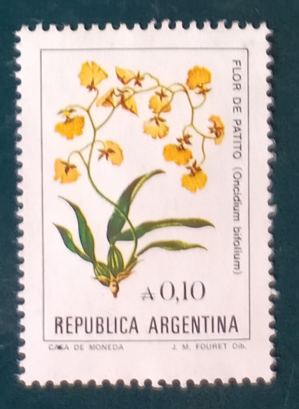 Orquídeas