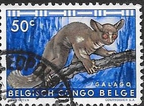 Congo Belga