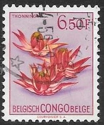 Congo Belga