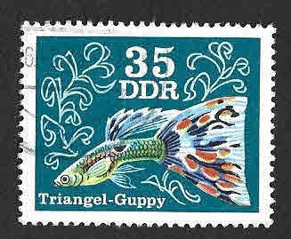 1772 - Pez Guppy (DDR)