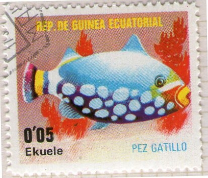 60  Pez gatillo