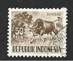 430 - Banteng