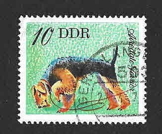 1750 - Airedale terrier (DDR)