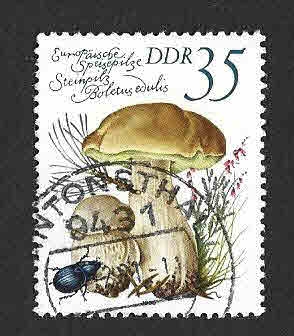 2140 - Setas Comestibles (DDR)