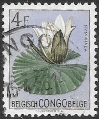 Congo belga