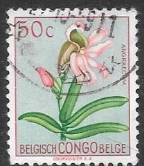 Congo belga