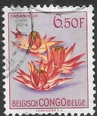 Congo belga