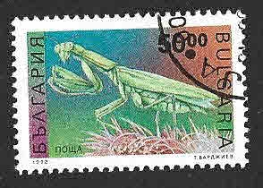 3717 - Mantis Religiosa