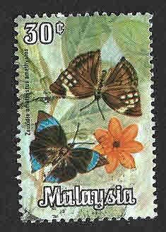 67 - Mariposa Saturno