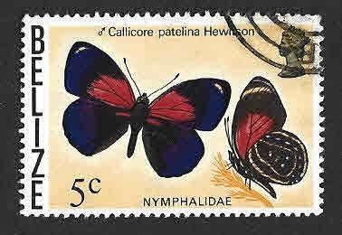 345 - Mariposa de Belice