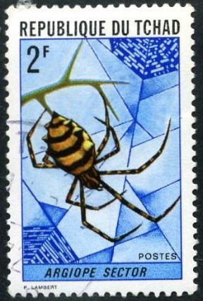 Araña