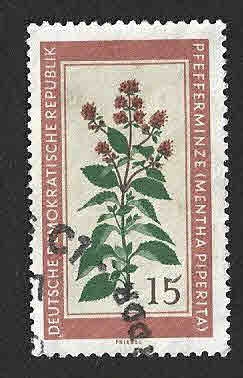 496 - Menta Piperita (DDR)