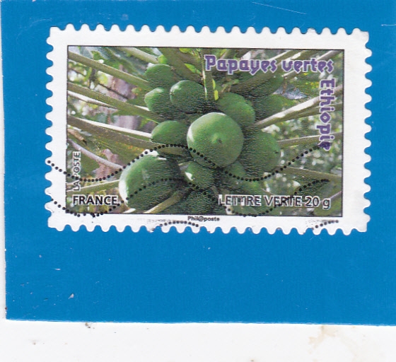 PAPAYAS VERDES