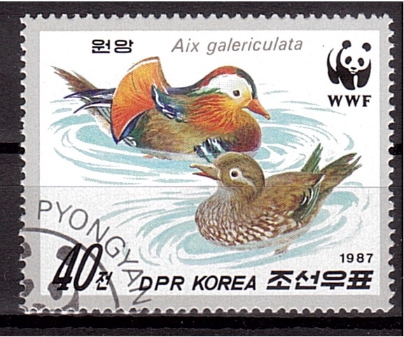 WWF - Pato mandarín