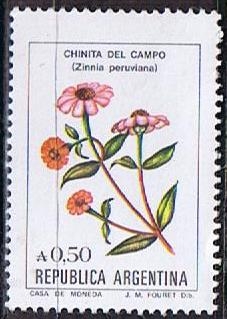 Chinita d' Campo