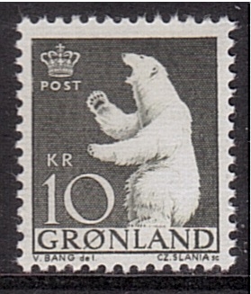 serie- Oso polar