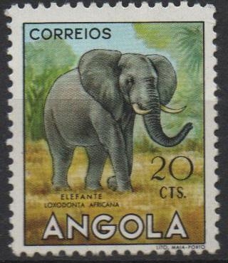 Elefante