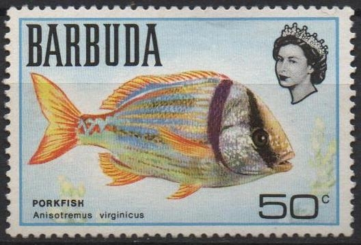 Peces: Porkfish