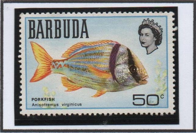 Peces: Porkfish