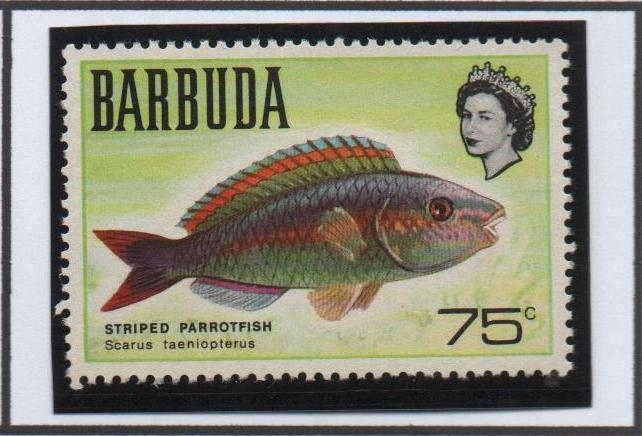 Peces: Striped Parrotfish