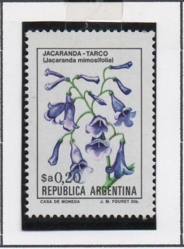 Jacarada-Tarco