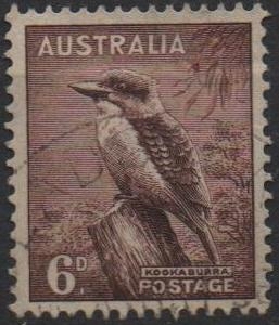 Kookaburra