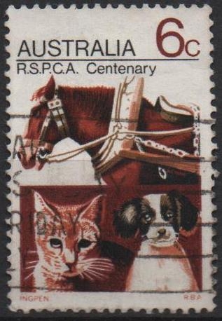 RSPCA- Centenario