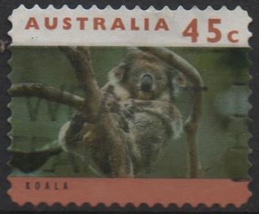 Koala