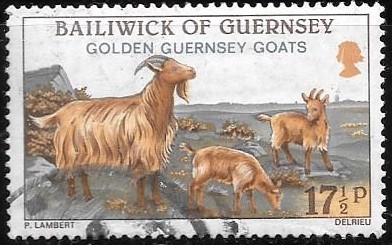 Guernsey