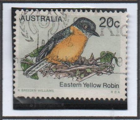 Pajaros Australianos: Robin Amarillo