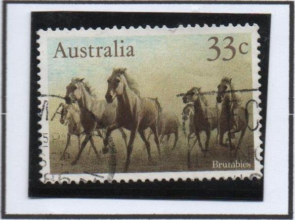 Caballos: Brumbies