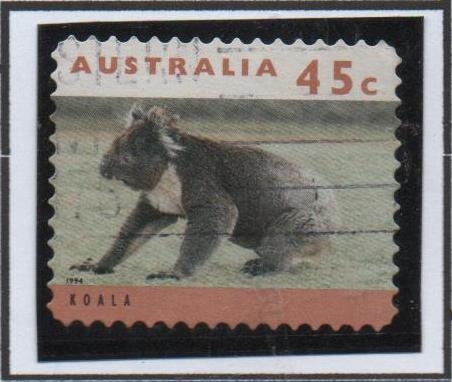 Koala