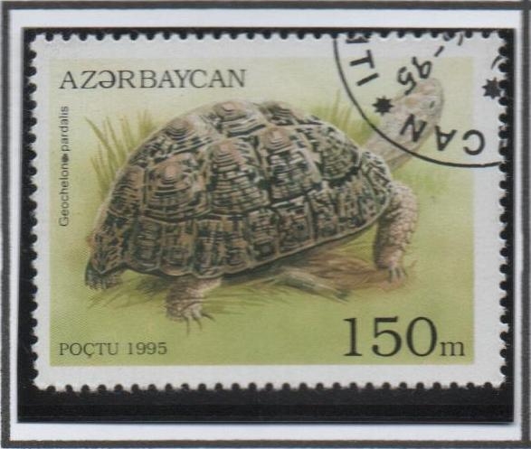 Tortugas: Geochelone