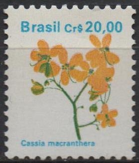 Flores: Casia macrantera