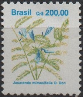 Flores: Jacaradda mimosi