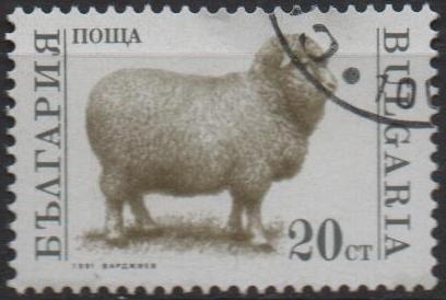 Animales d' Granja: Oveja