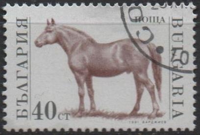 Animales d' Granja: Caballo