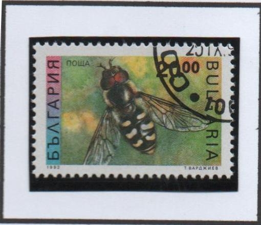 Abeja