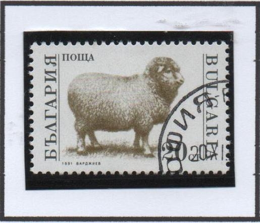 Animales d' Granja: Oveja