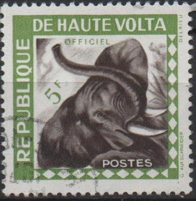 Elefante